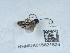  ( - NHMUK015621524)  @11 [ ] Unspecified (default): All Rights Reserved  Unspecified Unspecified