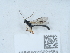  ( - NHMUK015621554)  @11 [ ] Unspecified (default): All Rights Reserved  Unspecified Unspecified