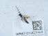  ( - NHMUK015621554)  @11 [ ] Unspecified (default): All Rights Reserved  Unspecified Unspecified