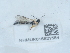  ( - NHMUK015621554)  @11 [ ] Unspecified (default): All Rights Reserved  Unspecified Unspecified