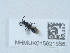  ( - NHMUK015621556)  @11 [ ] Unspecified (default): All Rights Reserved  Unspecified Unspecified