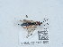  ( - NHMUK015621560)  @11 [ ] Unspecified (default): All Rights Reserved  Unspecified Unspecified