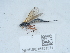  ( - NHMUK015621571)  @11 [ ] Unspecified (default): All Rights Reserved  Unspecified Unspecified