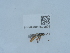  ( - NHMUK015621575)  @11 [ ] Unspecified (default): All Rights Reserved  Unspecified Unspecified