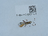  ( - NHMUK015621575)  @11 [ ] Unspecified (default): All Rights Reserved  Unspecified Unspecified