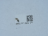  ( - NHMUK015621577)  @11 [ ] Unspecified (default): All Rights Reserved  Unspecified Unspecified