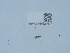  ( - NHMUK015621577)  @11 [ ] Unspecified (default): All Rights Reserved  Unspecified Unspecified