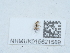  ( - NHMUK015621589)  @11 [ ] Unspecified (default): All Rights Reserved  Unspecified Unspecified