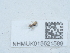  ( - NHMUK015621589)  @11 [ ] Unspecified (default): All Rights Reserved  Unspecified Unspecified