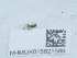  ( - NHMUK015621589)  @11 [ ] Unspecified (default): All Rights Reserved  Unspecified Unspecified