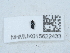  ( - NHMUK015622433)  @11 [ ] Unspecified (default): All Rights Reserved  Unspecified Unspecified