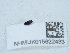  ( - NHMUK015622433)  @11 [ ] Unspecified (default): All Rights Reserved  Unspecified Unspecified