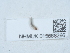 ( - NHMUK015666266)  @11 [ ] Unspecified (default): All Rights Reserved  Unspecified Unspecified