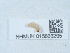  ( - NHMUK015666295)  @11 [ ] Unspecified (default): All Rights Reserved  Unspecified Unspecified