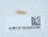  ( - NHMUK015666295)  @11 [ ] Unspecified (default): All Rights Reserved  Unspecified Unspecified