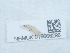  ( - NHMUK015666296)  @11 [ ] Unspecified (default): All Rights Reserved  Unspecified Unspecified