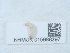  ( - NHMUK015666297)  @11 [ ] Unspecified (default): All Rights Reserved  Unspecified Unspecified