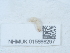 ( - NHMUK015666297)  @11 [ ] Unspecified (default): All Rights Reserved  Unspecified Unspecified