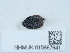  ( - NHMUK015667641)  @11 [ ] Unspecified (default): All Rights Reserved  Unspecified Unspecified