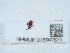  ( - NHMUK015667671)  @11 [ ] Unspecified (default): All Rights Reserved  Unspecified Unspecified