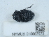  ( - NHMUK015667673)  @11 [ ] Unspecified (default): All Rights Reserved  Unspecified Unspecified