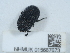  ( - NHMUK015667673)  @11 [ ] Unspecified (default): All Rights Reserved  Unspecified Unspecified
