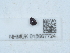  ( - NHMUK015667724)  @11 [ ] Unspecified (default): All Rights Reserved  Unspecified Unspecified