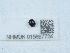  ( - NHMUK015667724)  @11 [ ] Unspecified (default): All Rights Reserved  Unspecified Unspecified