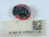  ( - NHMUK015667725)  @11 [ ] Unspecified (default): All Rights Reserved  Unspecified Unspecified