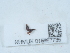  ( - NHMUK015667735)  @11 [ ] Unspecified (default): All Rights Reserved  Unspecified Unspecified