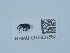  (Involvulus icosandriae - NHMUK015931852)  @11 [ ] Unspecified (default): All Rights Reserved  Unspecified Unspecified
