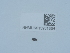  ( - NHMUK015931854)  @11 [ ] Unspecified (default): All Rights Reserved  Unspecified Unspecified