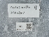  ( - NHMUK015984935)  @11 [ ] Unspecified (default): All Rights Reserved  Unspecified Unspecified