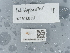  ( - NHMUK015984941)  @11 [ ] Unspecified (default): All Rights Reserved  Unspecified Unspecified
