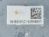  ( - NHMUK015984941)  @11 [ ] Unspecified (default): All Rights Reserved  Unspecified Unspecified