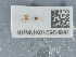 ( - NHMUK015984941)  @11 [ ] Unspecified (default): All Rights Reserved  Unspecified Unspecified