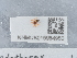  ( - NHMUK015984950)  @11 [ ] Unspecified (default): All Rights Reserved  Unspecified Unspecified