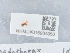  ( - NHMUK015984950)  @11 [ ] Unspecified (default): All Rights Reserved  Unspecified Unspecified