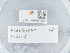 ( - NHMUK015984950)  @11 [ ] Unspecified (default): All Rights Reserved  Unspecified Unspecified