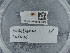  ( - NHMUK015984950)  @11 [ ] Unspecified (default): All Rights Reserved  Unspecified Unspecified