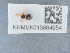  ( - NHMUK015984954)  @11 [ ] Unspecified (default): All Rights Reserved  Unspecified Unspecified