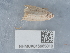  ( - NHMUK015985010)  @11 [ ] Unspecified (default): All Rights Reserved  Unspecified Unspecified