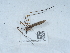  ( - NHMUK015985154)  @11 [ ] Unspecified (default): All Rights Reserved  Unspecified Unspecified