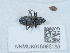  ( - NHMUK015985183)  @11 [ ] Unspecified (default): All Rights Reserved  Unspecified Unspecified