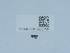  ( - NHMUK015985199)  @11 [ ] Unspecified (default): All Rights Reserved  Unspecified Unspecified