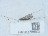  ( - NHMUK015985232)  @11 [ ] Unspecified (default): All Rights Reserved  Unspecified Unspecified