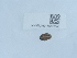  ( - NHMUK015985245)  @11 [ ] Unspecified (default): All Rights Reserved  Unspecified Unspecified