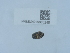  ( - NHMUK015985245)  @11 [ ] Unspecified (default): All Rights Reserved  Unspecified Unspecified
