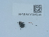  ( - NHMUK015985249)  @11 [ ] Unspecified (default): All Rights Reserved  Unspecified Unspecified