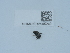  ( - NHMUK015985249)  @11 [ ] Unspecified (default): All Rights Reserved  Unspecified Unspecified